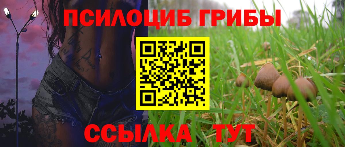 Галлюциногенные грибы мицелий Химки