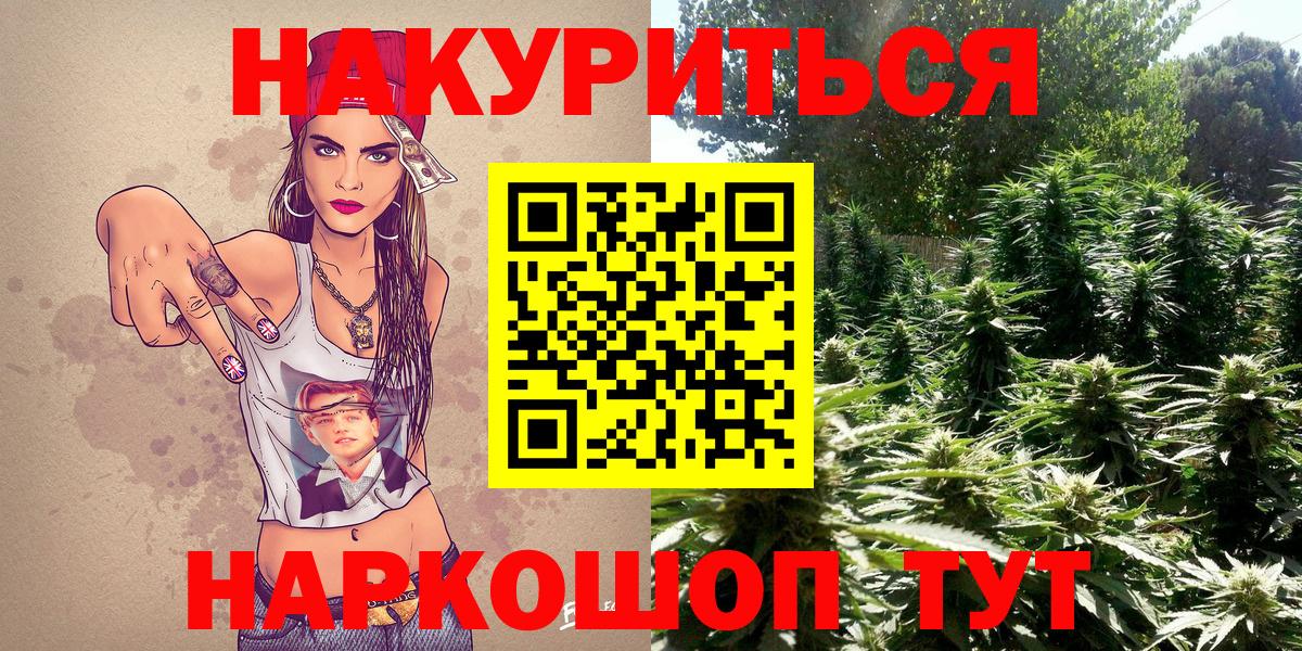 Бошки марихуана гибрид  Конопля Bruce Banner  Химки  Конопля VHQ  Шишки марихуана сатива  Вход с VPN 